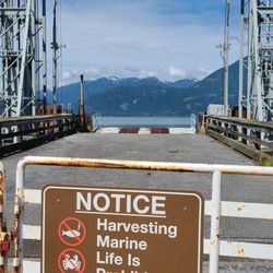 Porteau Cove Provincial Park