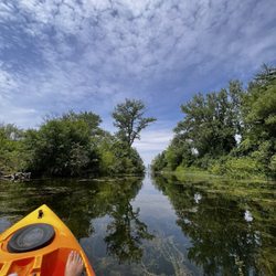 Toronto Island SUP