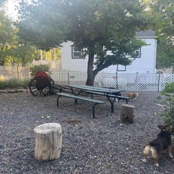 Shady Creek Rv Park - Nice little dog park. - Cedaredge, Colorado Shady Creek Rv Park - Nice little dog park. - Cedaredge, Colorado