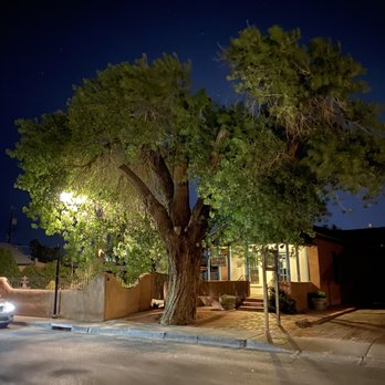 AbqTours - This is the Hanging Tree that was used to hang criminals many years ago - Historical Tours Near Me - Albuquerque, New Mexico