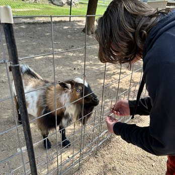 Tanganyika Wildlife Park - Zoos Near Me - Goddard, Kansas Tanganyika Wildlife Park - Zoos Near Me - Goddard, Kansas