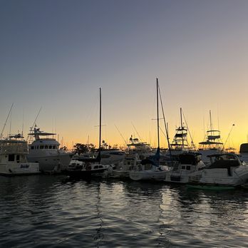 Wind & Sea - Seafood Near Me - Dana Point, California Wind & Sea - Seafood Near Me - Dana Point, California