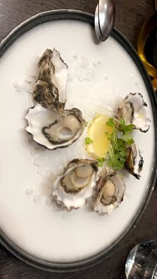 BlackFire Restaurant Canberra by null