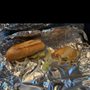 Photo of LJ's Hoagie King
