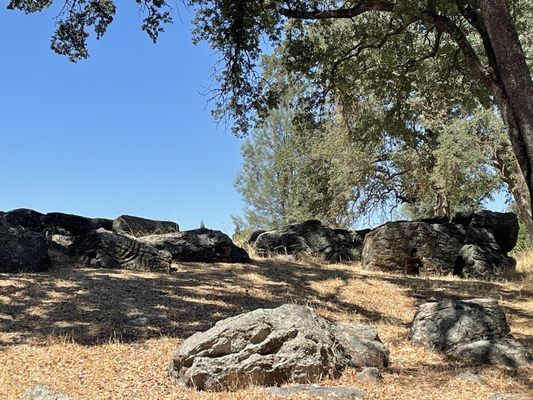 Maidu Museum & Historic Site by null