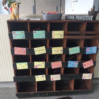 Barks On The Blvd - Pet Groomers Near Me - Syracuse, New York