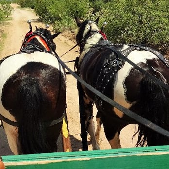 The Good Shepherd Ranch - One of the good shepherd ranch teams/wagons - Venues & Event Spaces Near Me - Tucson, Arizona The Good Shepherd Ranch - One of the good shepherd ranch teams/wagons - Venues & Event Spaces Near Me - Tucson, Arizona