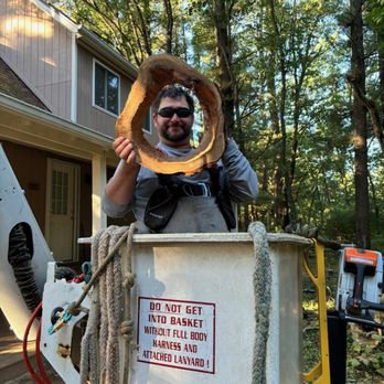 Hoffmann Tree Service - Tree Services Near Me - Montello, Wisconsin Hoffmann Tree Service - Tree Services Near Me - Montello, Wisconsin