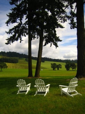 Stoller Family Estate by null