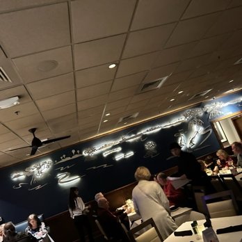Bonefish Grill - The ambiance - Seafood Near Me - Trinity, Florida