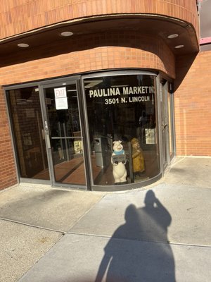 Paulina Market by null