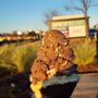 Handel's Homemade Ice Cream