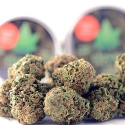 Clover CBD