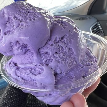 Handel's Homemade Ice Cream - Taro ice cream in a small cup - Ice Cream & Frozen Yogurt Near Me - Rialto, California Handel's Homemade Ice Cream - Taro ice cream in a small cup - Ice Cream & Frozen Yogurt Near Me - Rialto, California