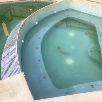 Alpha Pool Service - Green and draining - Pool Cleaners Near Me