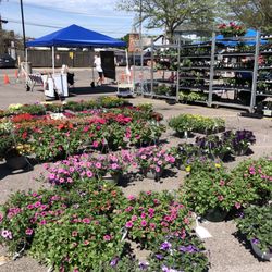 Saline Farmers Market