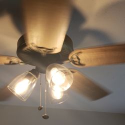 Augie's Home Repair and Maintenance Service - Fan installation installed 5 fan for this customer