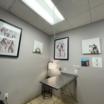 El Paso Animal Emergency - Veterinarians Near Me - El Paso, Texas