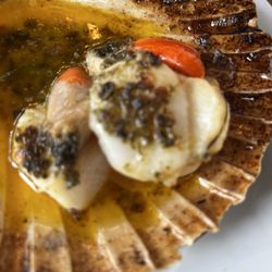 Crown & Anchor - Scallops