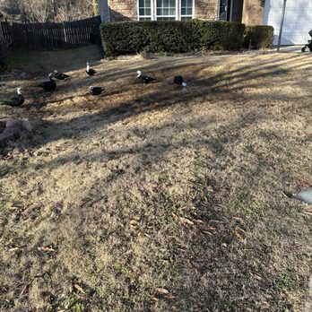 Arrowhead Plumbing - water leak in my front yard - Plumbing Near Me - Lawrenceville, Georgia Arrowhead Plumbing - water leak in my front yard - Plumbing Near Me - Lawrenceville, Georgia