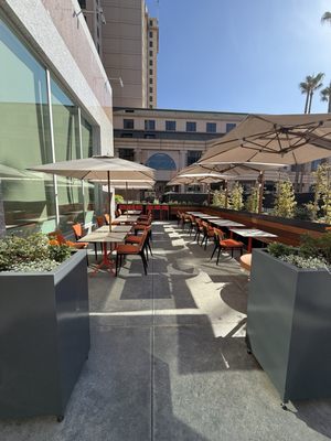 Poppy & Claro by null