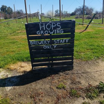 GoatHouse Brewing Co - Breweries Near Me - Lincoln, California GoatHouse Brewing Co - Breweries Near Me - Lincoln, California