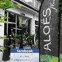 Aloes
