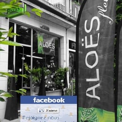 Aloes