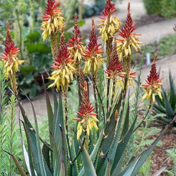 Gamble Garden - Venues & Event Spaces Near Me - Palo Alto, California