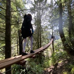 The Adventure Collective