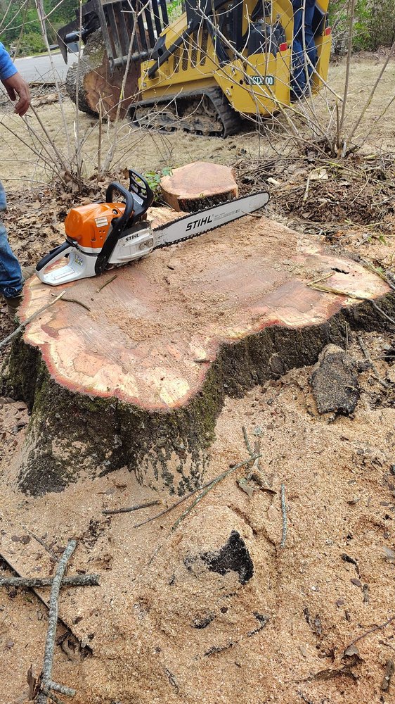 R & A  Tree Service - tree service in Hoover, AL