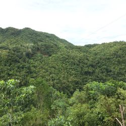 Loboc Ecotourism Adventure Park