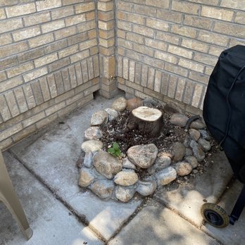 Martinez Landscape - Cut down of tree - Landscaping Near Me