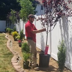 Nelson Landscaping