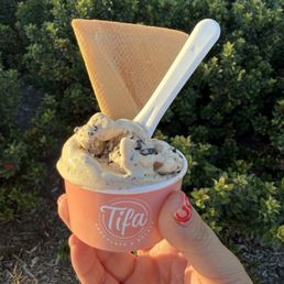 Smores and Espresso Chip Gelato Smores and Espresso Chip Gelato