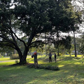 Tree Work By Mitch Drake & Sons - Tree Services Near Me Tree Work By Mitch Drake & Sons - Tree Services Near Me