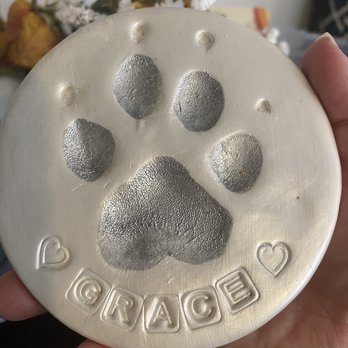 Broad Ripple Animal Clinic - Paw print keepsake - Veterinarians Near Me - Indianapolis, Indiana Broad Ripple Animal Clinic - Paw print keepsake - Veterinarians Near Me - Indianapolis, Indiana