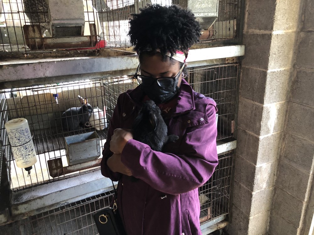 STANDARD FEED AND SEED COMPANY Updated May 2024 19 Reviews 2339