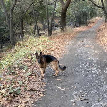 Holy Jim Falls Trail - Hiking Near Me - Trabuco Canyon, California