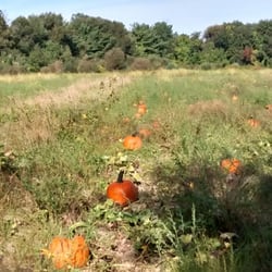 Back Acre Farm