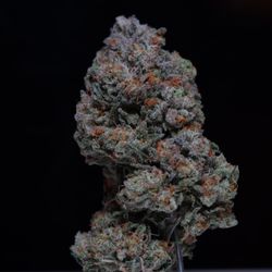 Heybud Dispensary