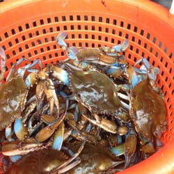 Phil's Live Crabs - Can't wait to dig in!
