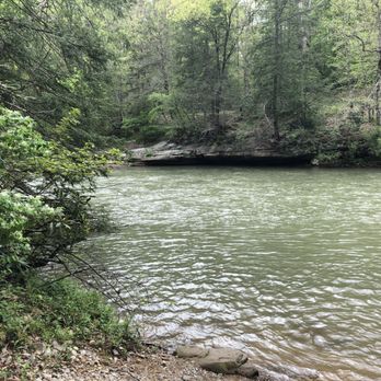 Audra State Park - Beachy area near parking lot - Parks Near Me - Buckhannon, West Virginia