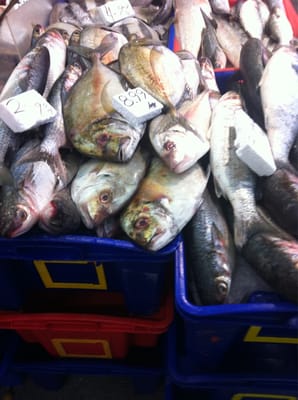 Footscray Market by null