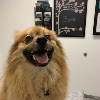 Newport Pet Clinic - Veterinarians Near Me - Tustin, California