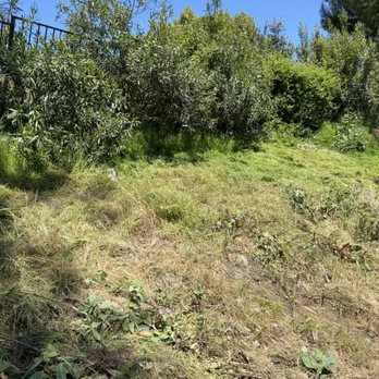 Superior Fence - BEFORE: Broken Fence - Fences & Gates Near Me - Anaheim, California Superior Fence - BEFORE: Broken Fence - Fences & Gates Near Me - Anaheim, California