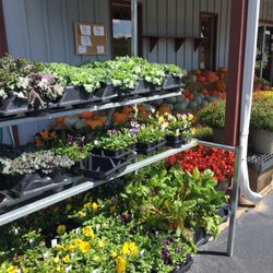 Ranalli Farms Produce