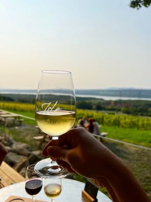 Vignoble Isle de Bacchus by null