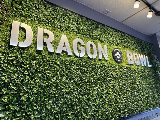 Dragon Bowl Korean Fried Chicken & Wings - Las Vegas by null