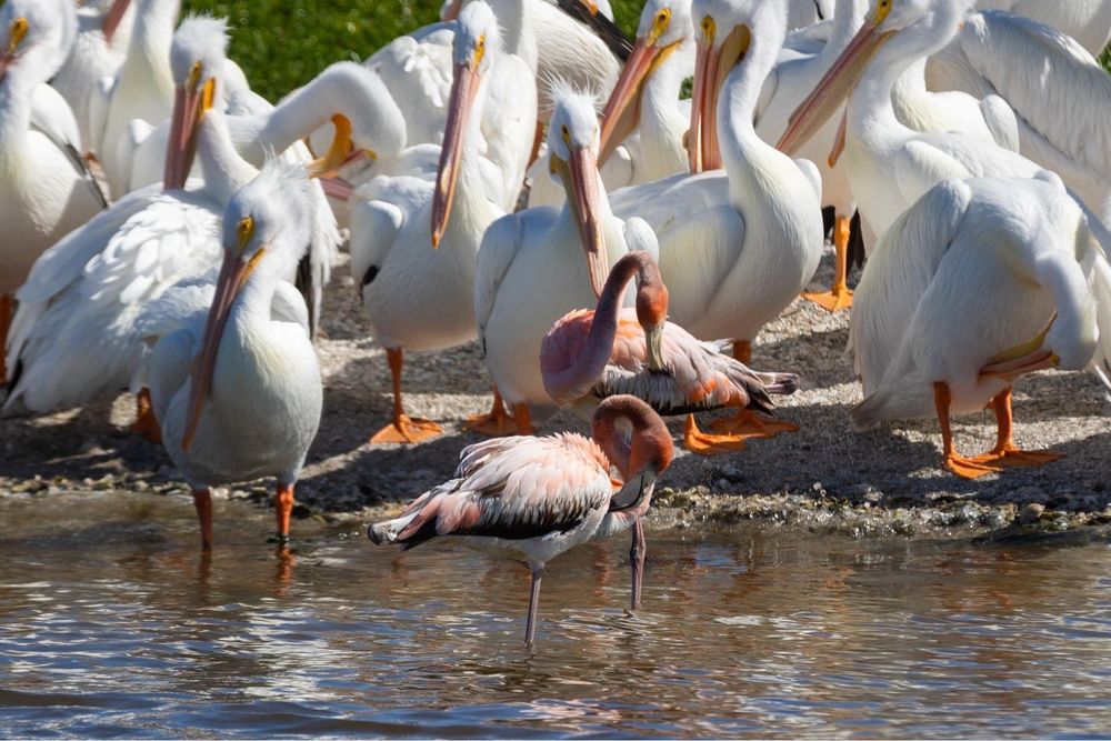 Social spots from Adventures In Paradise